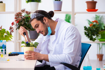 Young male chemist perfumer working in the lab