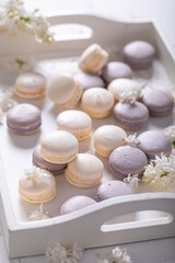 Unique white lilac macaroons. Creative dessert compositions.