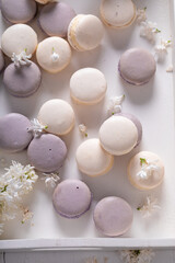 Beautiful macaroons flavored lilac. Flower flavour dessert.