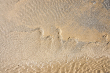 Sand beach texture. Natural background. Sand waves background. Sandy dunes, tropical seashore landscape.