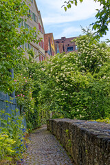 Weg im Grünen entlang einem Fluß