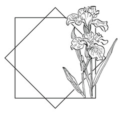 Hand drawn iris floral logo, frame, border, promo element.
