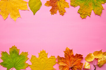 Autumn leaves background. Thanksgiving day text space, greetings and wishes. Top view.