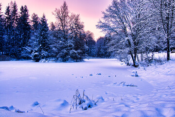 Gefrorener und mit Schnee bedeckter Waldsee
