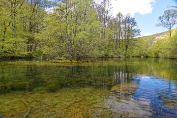 Fototapeta na wymiar Waldsee mit Spiegelung