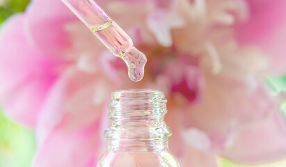 Tincture of peony extract in a pipette drop. Selective focus. © yanadjan