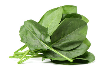 Spinach on white background