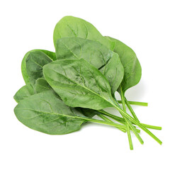 Spinach on white background