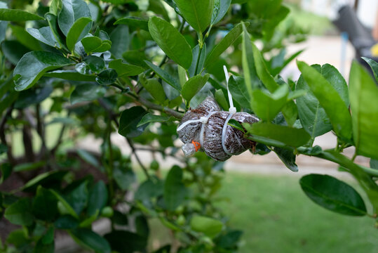 รูปภาพMarcotting – เลือกดูภาพถ่ายสต็อก เวกเตอร์ และวิดีโอ541,173 ...