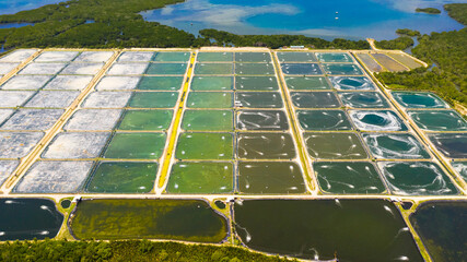 Prawn farm with aerator pump view from above. Bohol, Philippines. The growing aquaculture business...