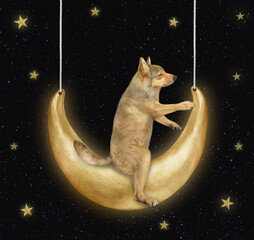 A beige dog is swinging on the moon at night.