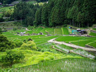 Fototapeta na wymiar view from the rice terraces in japan