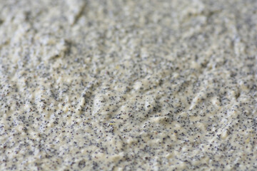 Close up a prebaked Poppy Seed Cake