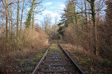 Fototapeta premium Verlassenes Bahngleis im Wald