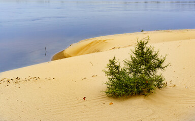 Landscape with steep banks on the Volga river in Russia.