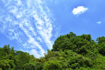 田舎-初夏の風景