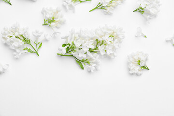 Obraz na płótnie Canvas Beautiful lilac flowers on white background