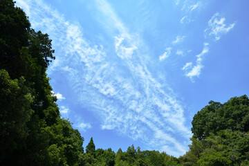 Obraz premium 初夏の雲