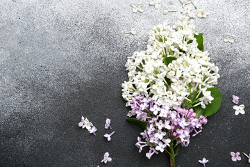 Naklejka na ściany i meble Beautiful lilac flowers on dark background