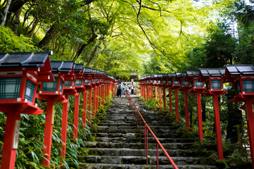 Fototapeta na wymiar Kurama-yama in Kyoto.