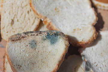 sliced moldy white bread close up