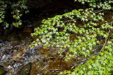 Kurama-yama in Kyoto.
