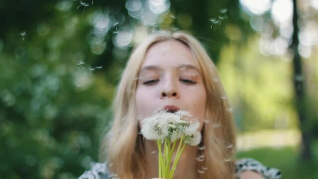 Beautiful blonde girl blows fluff from a bouquet of dandelions in the park