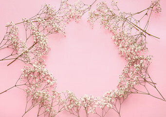 Frame made of beautiful gypsophila flowers on color background