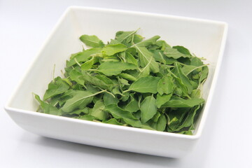 holybasil leaf for cooking food