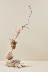 Abstract nature scene with composition of stones and dry branch. Neutral beige background for...