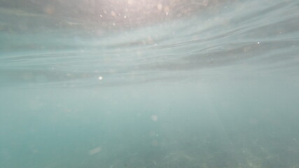 Fototapeta premium Unterwasseraufnahmen