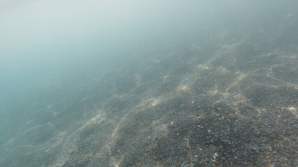 Fototapeta na wymiar Unterwasseraufnahmen