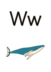 W of whale English alphabet spelling
