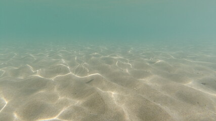 Unterwasseraufnahmen