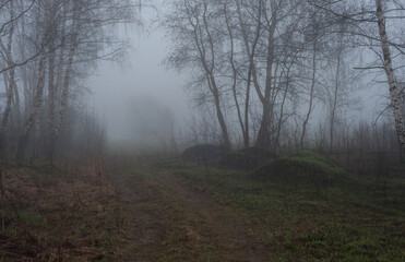Obraz na płótnie Canvas Spring April fog
