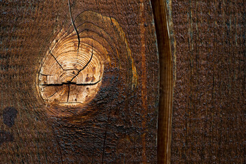 Cracked , painted pine wood beam close up macro shot, space for text.
