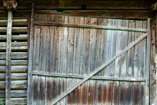 Old traditional pine wood barn door on abandoned barn in Transylvania, Romania.