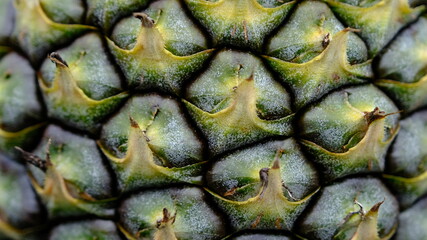 Texture of  pineapple skin close up, background concept.