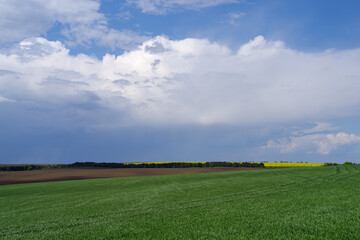 Fototapeta premium Agricultural landscape Podilia region, South-Western Ukraine