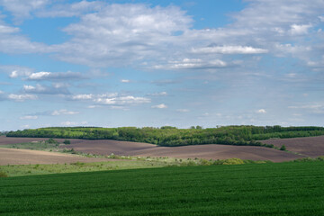 Fototapeta na wymiar Spring agricultural landscape, Podilski Tovtry nature reserve, Podilia region, South-Western Ukraine