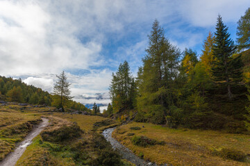 Fototapeta na wymiar Small stream alongside larches with the first autumn colors and against the background Dolomite peaks in the clouds, South Tyrol, Italy. Landscape that inspires tranquility and meditation