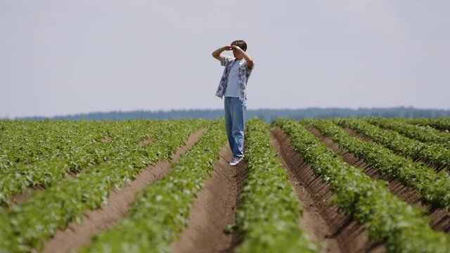 A young man got lost in a field where potatoes grow