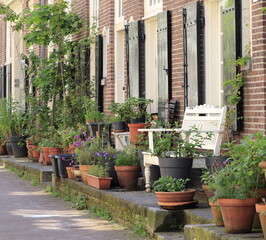 Fototapeta na wymiar Amsterdam Jordaan Street View with Potted Plants and White Wooden Bench