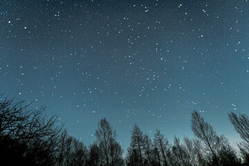 戦場ヶ原の星たち