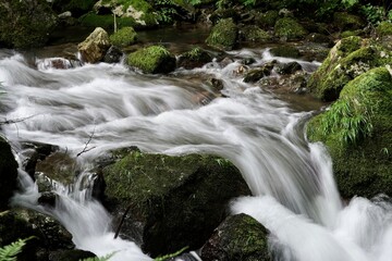 きれいな川の流れ