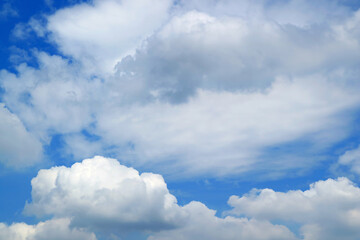 Naklejka na ściany i meble Fluffy white cumulus clouds floating on the sky
