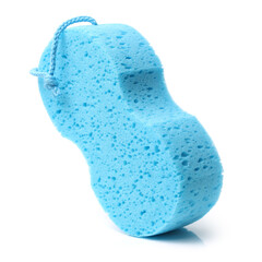 Sponge over white background