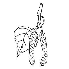 Bud icon. Birch tree. Natural theme. White background. Element. Symbol. Contour graphic sketch. Idea for decors, logo, covers, holidays, gifts, art. Isolated vector.