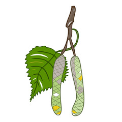 Bud icon. Birch tree. Natural theme. White background. Element. Symbol. Colorful graphic sketch. Idea for decors, logo, covers, holidays, gifts, art. Isolated vector.