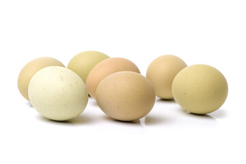 eggs on a white background 